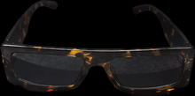 Load image into Gallery viewer, Blank Easel Art Tortoise Glasses
